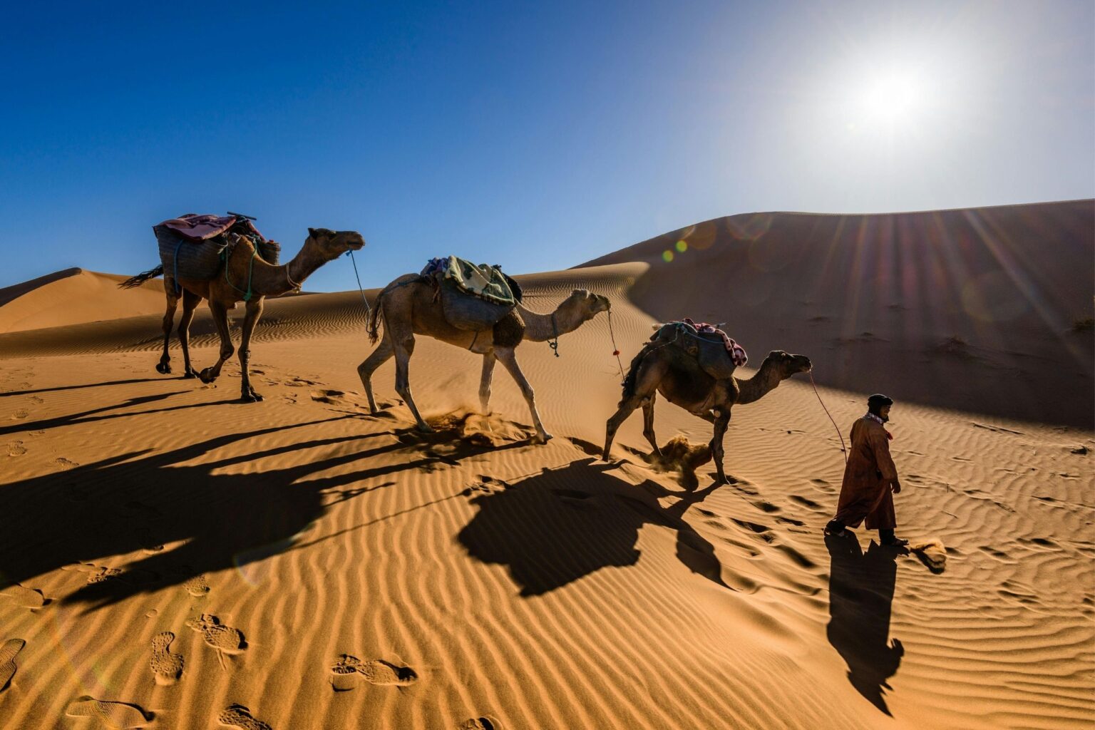 Tourist Tour In Jordan7 Days / 6 Night