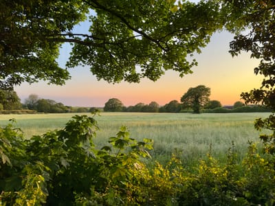 وصف بيئات والملاءمات لها