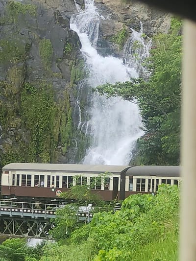 Is It Worth Going on the Kuranda Scenic Railway?