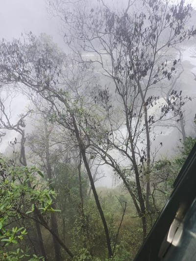 Visiting the Wet Tropics of Queensland on a Wet Day