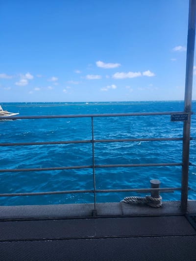 Visiting the Great Barrier Reef via Quicksilver Cruises