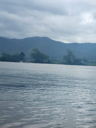 Daintree River Cruise