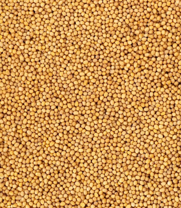 Mustard seeds