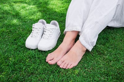 🧭 North — Grounding