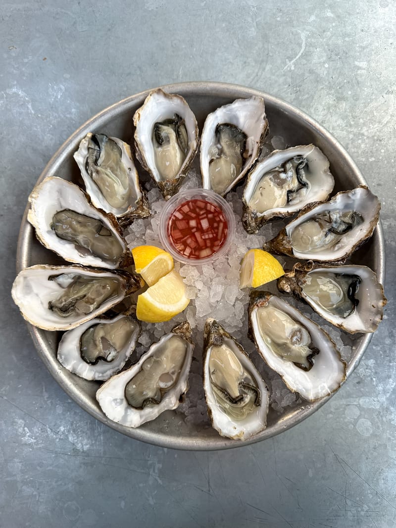 Oysters