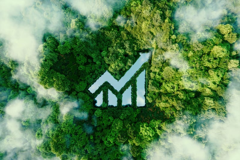 Sustainable Development