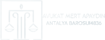 Av. Mert Apaydın