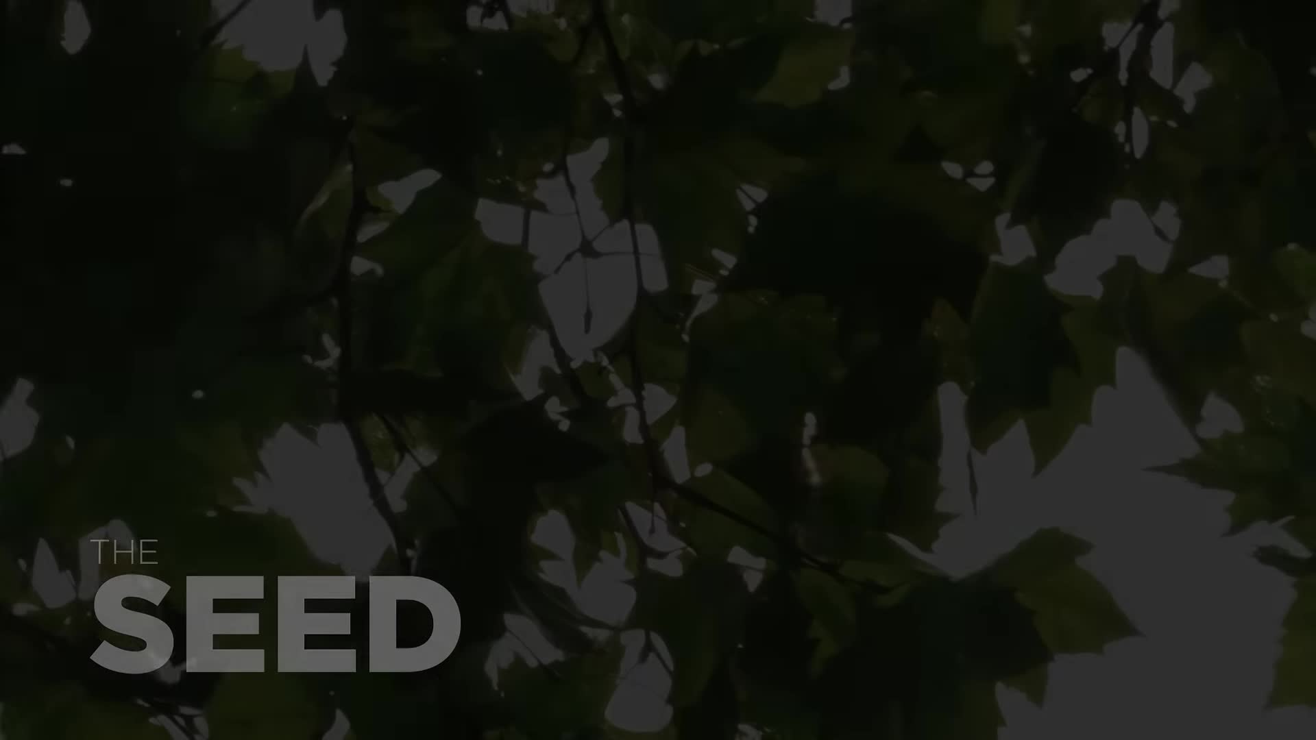 Daily Prayer thumbnail