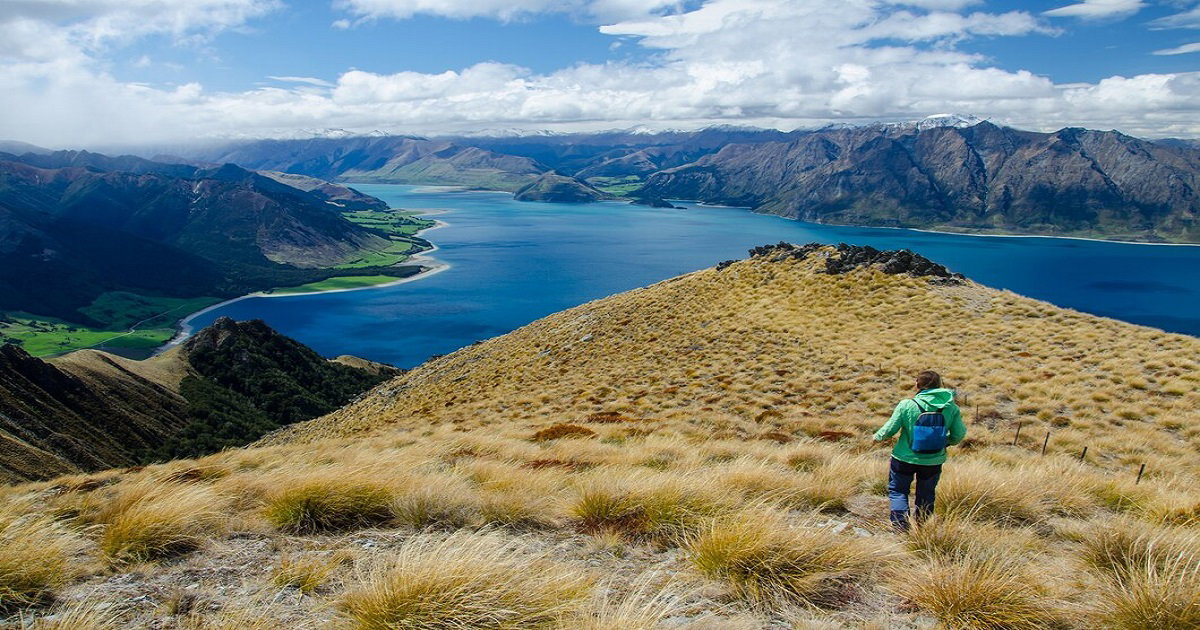 How Do New Zealand Vacation Packages Help You See More for Less?