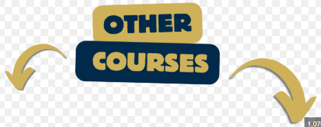 Other Courses