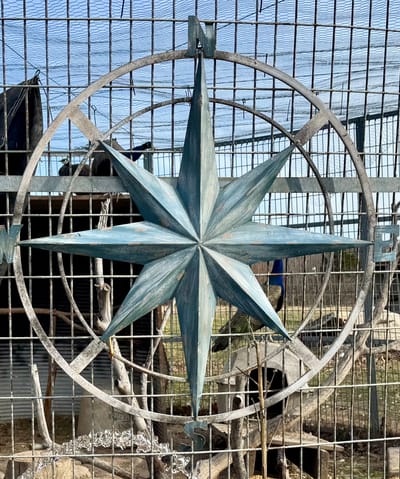 What I Had to Unlearn