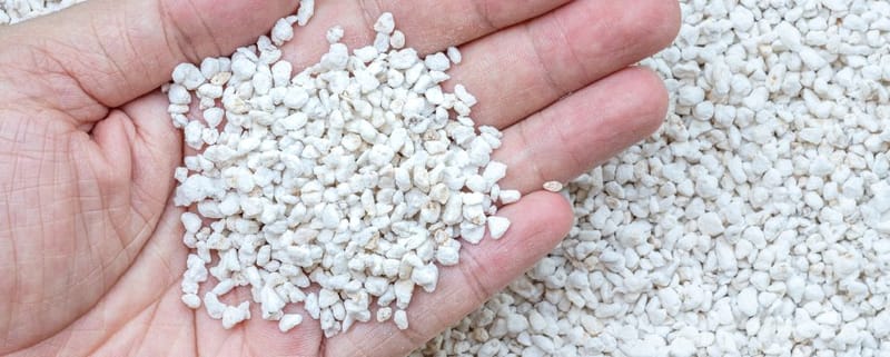 Is Perlite Toxic? Safety Facts Every Gardener and Grower Should Know