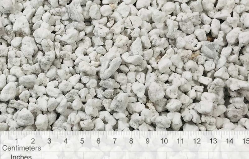 Does Perlite Hold Water? An In-Depth Guide for Oregon Growers and West Coast Professionals
