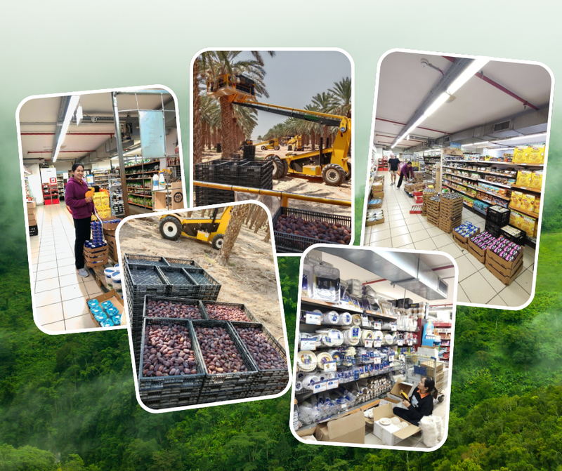 งานประเทศอิสราเอล