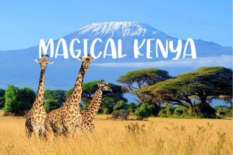 Our Magical Kenya! thumbnail