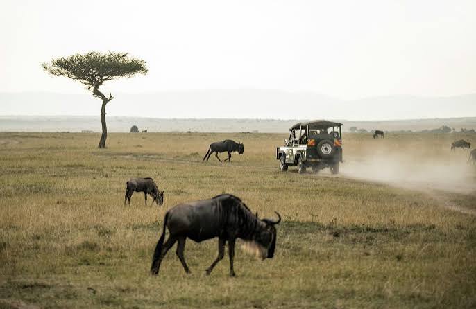 Kenya: A World of Locations! thumbnail