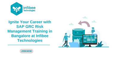 Ignite Your Career with SAP GRC Risk Management Training in Bangalore at Infibee Technologies