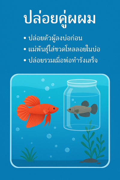 วิธีเพาะพันธุ์ปลากัดอย่างง่าย