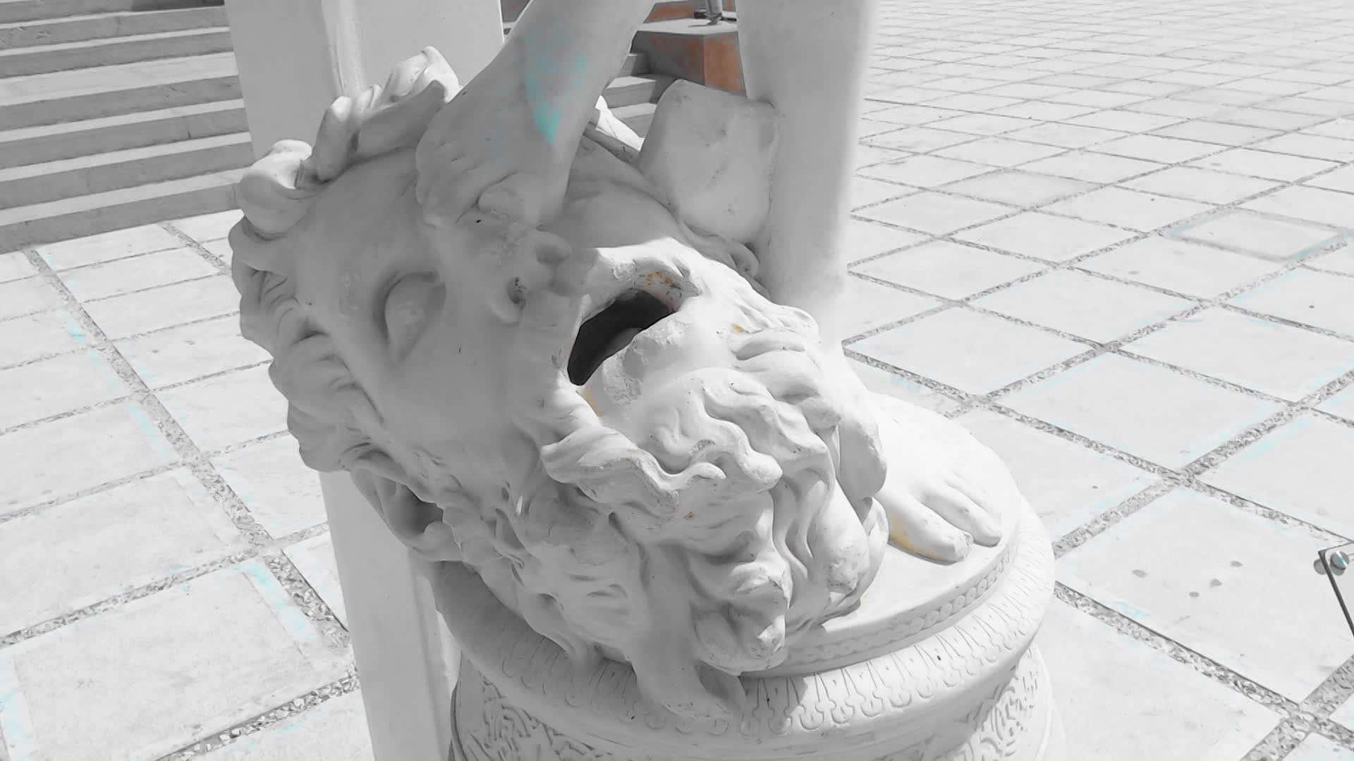 videos