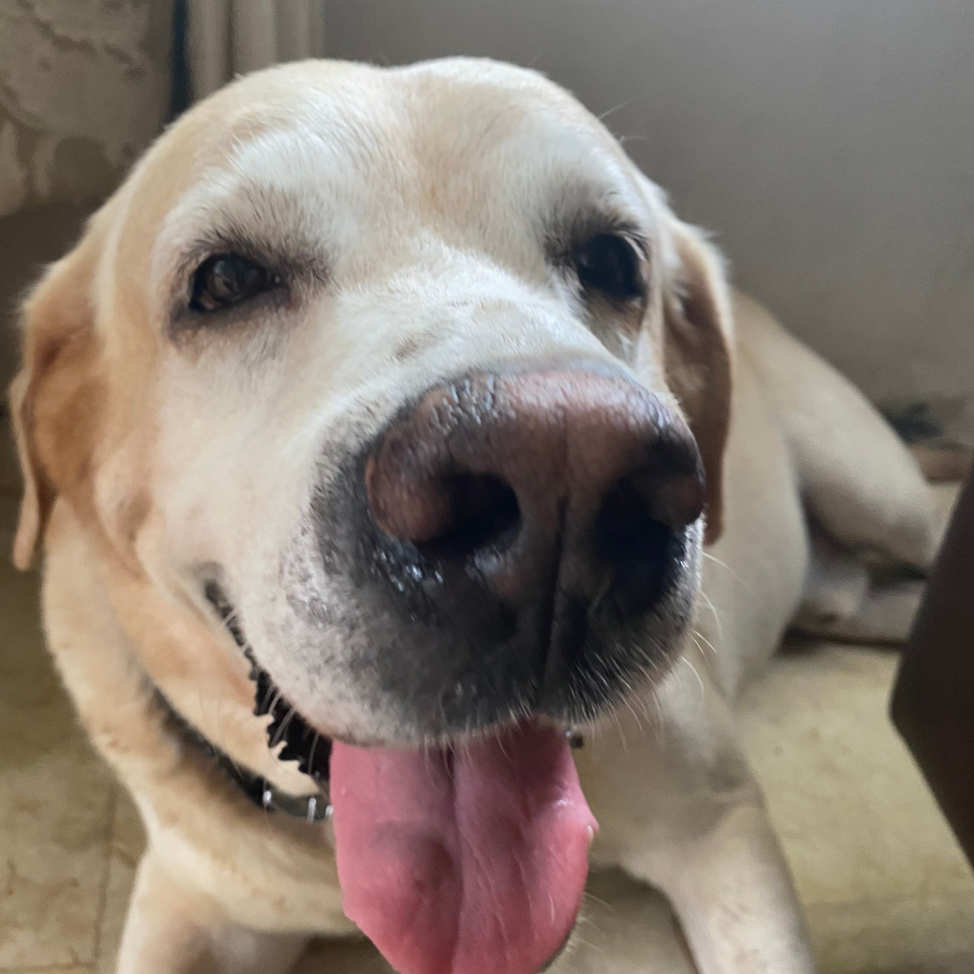 Kidney Disease: Kuya Barney