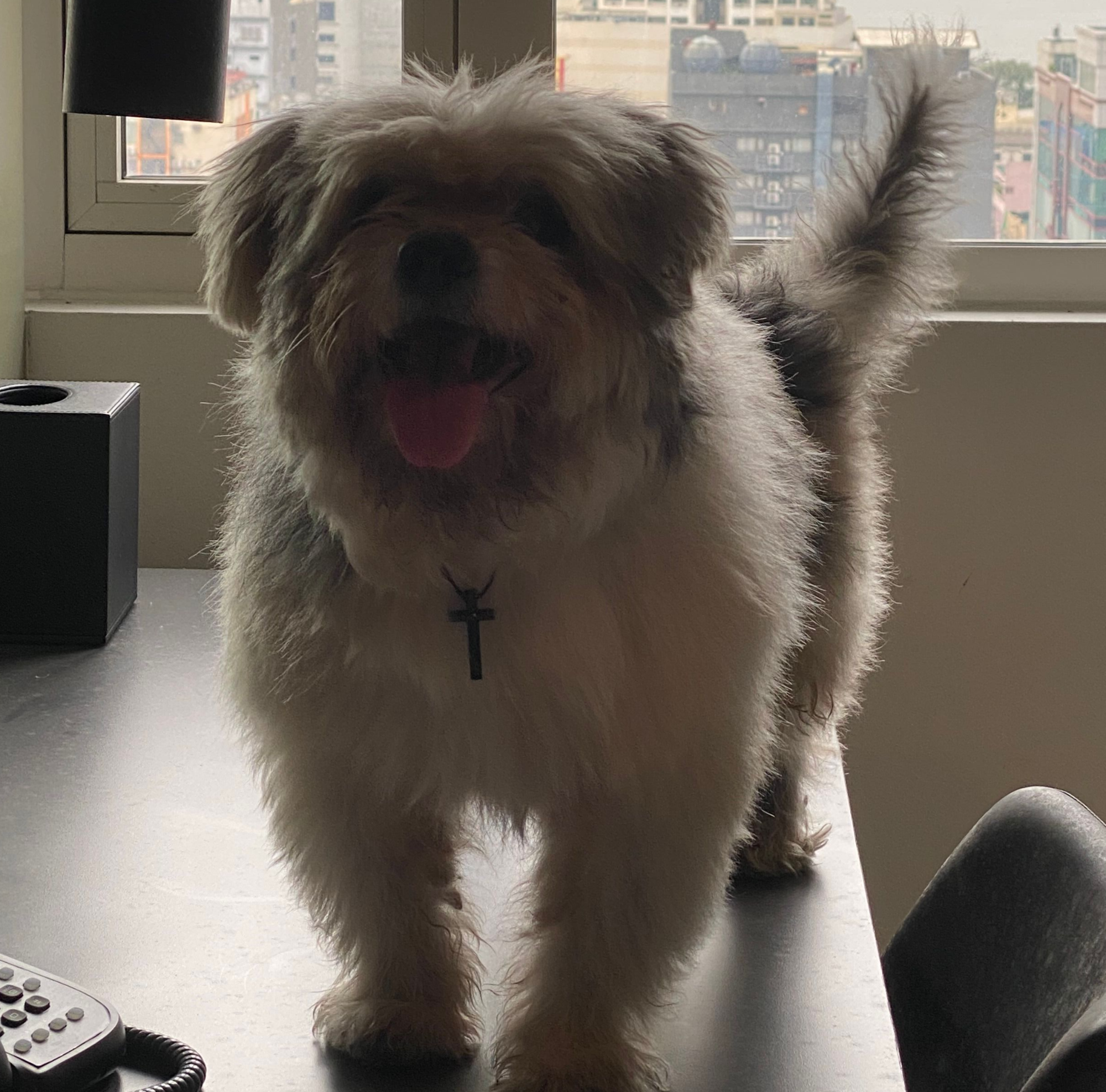 Digestive Issues: Lolo Hansel