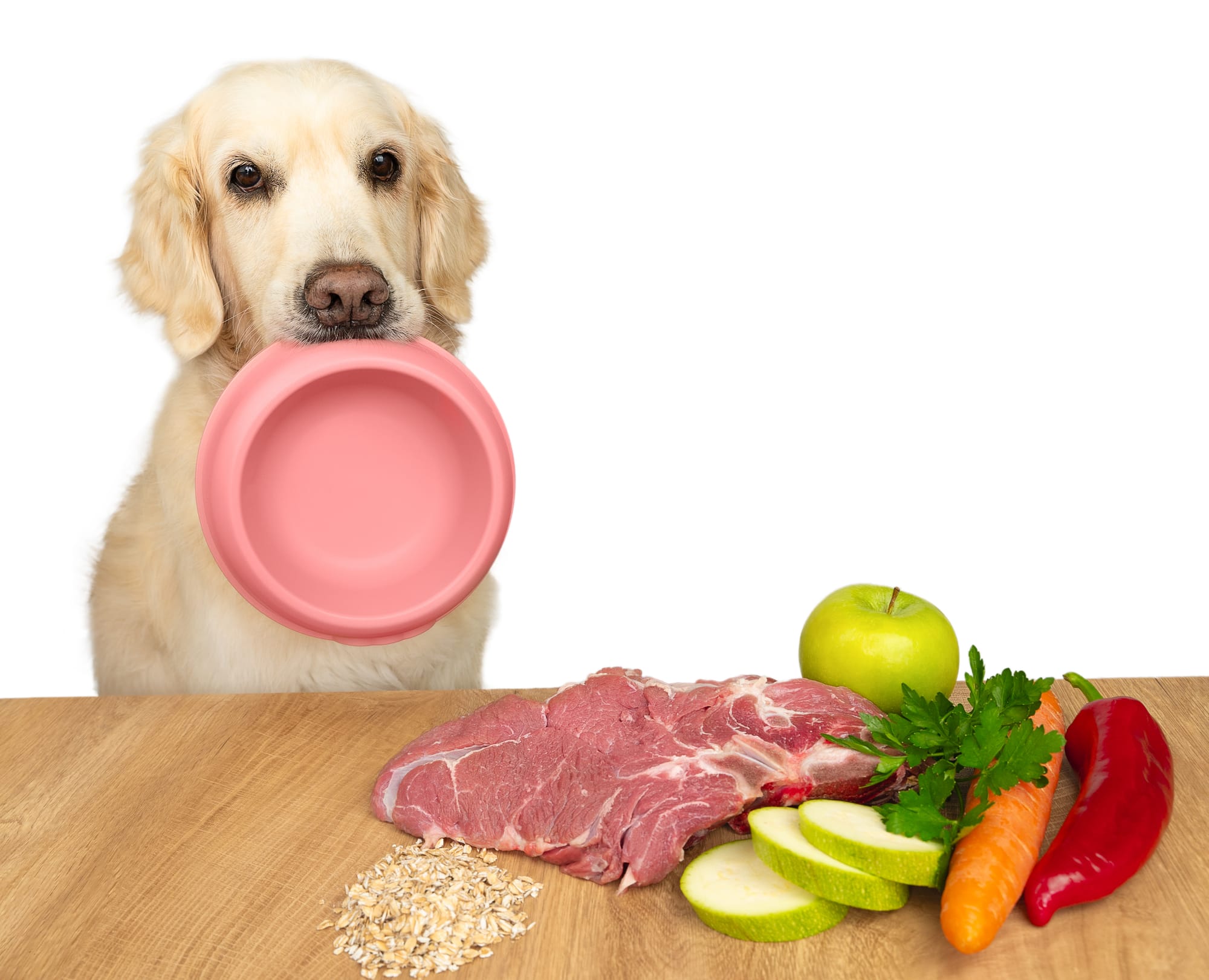 Pet Culinary Medicine: Nourishing Health, One Conscious Choice at a Time