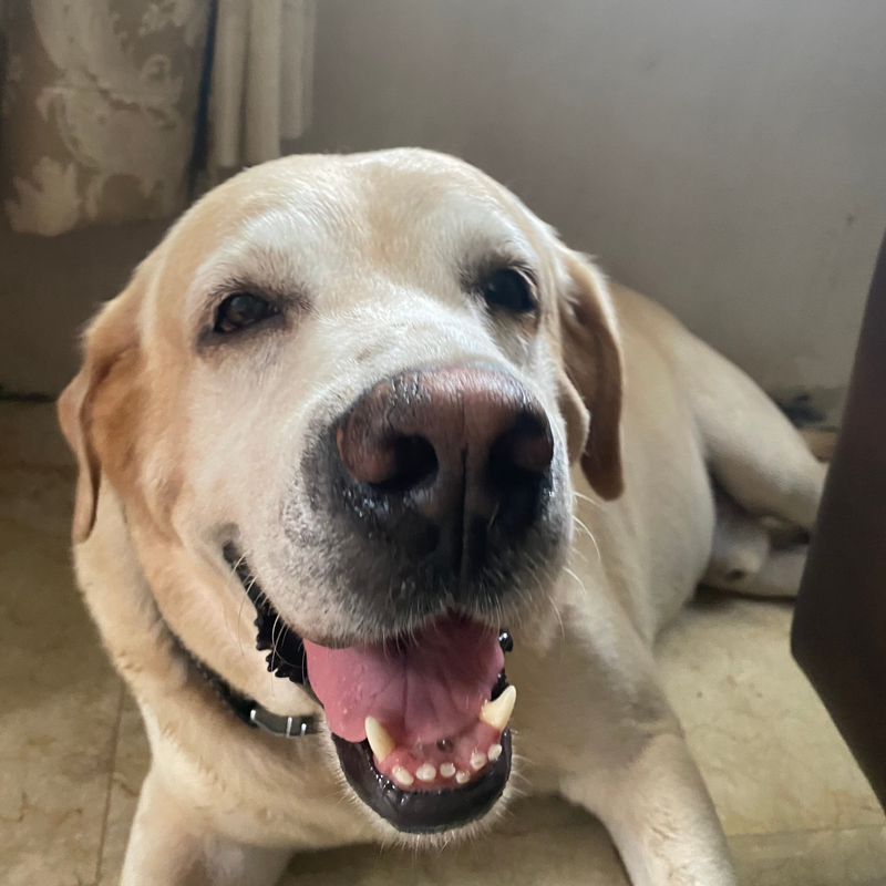 Kuya Barney's 9th Birthday