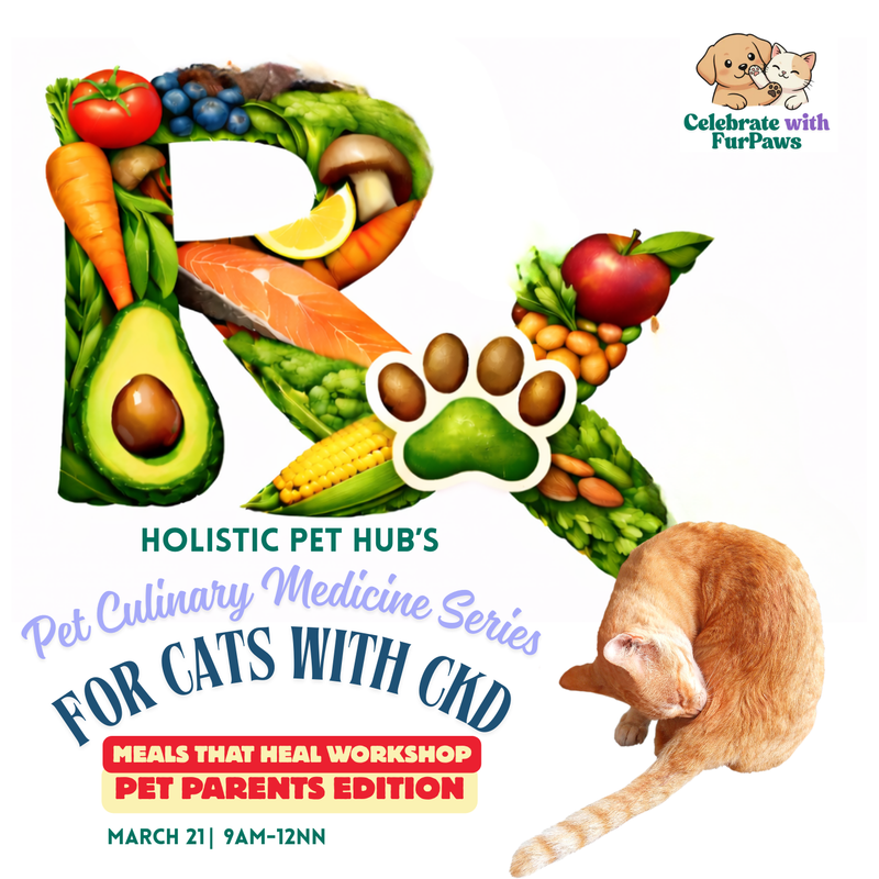 Pet Culinary Medicine For Cats With CKD