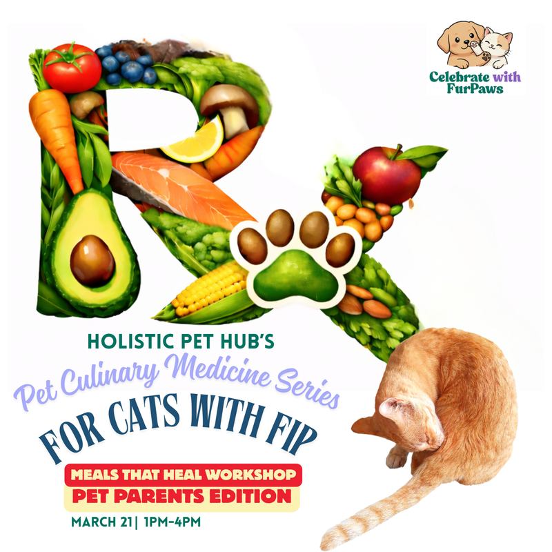 Pet Culinary Medicine For Cats with FIP