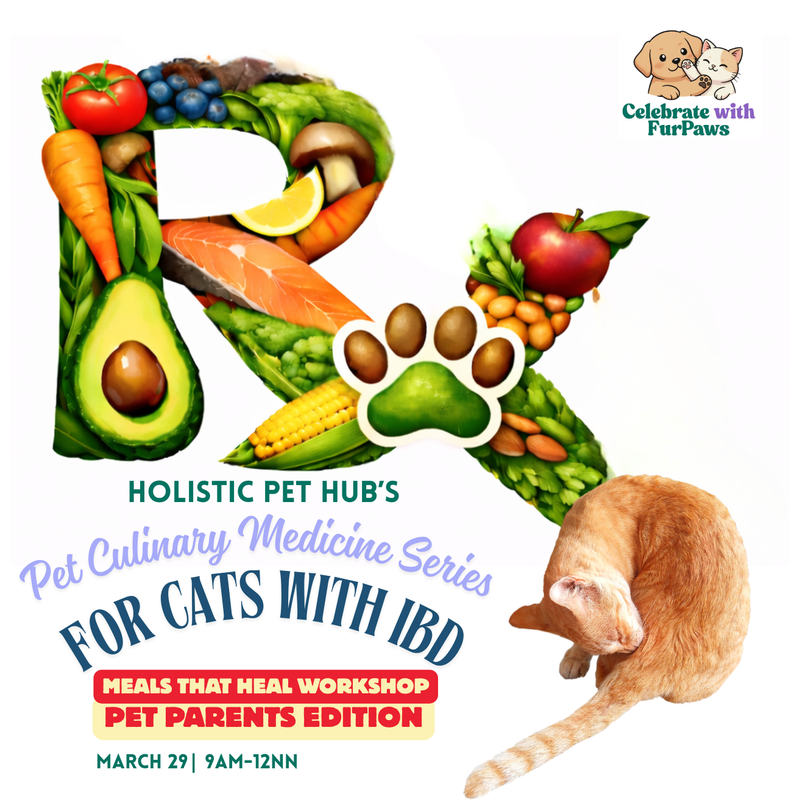 Pet Culinary Medicine For Cats With IBD