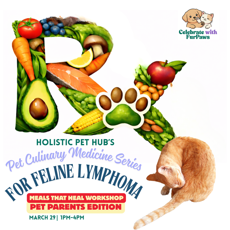 Pet Culinary Medicine For Cats With Lymphoma