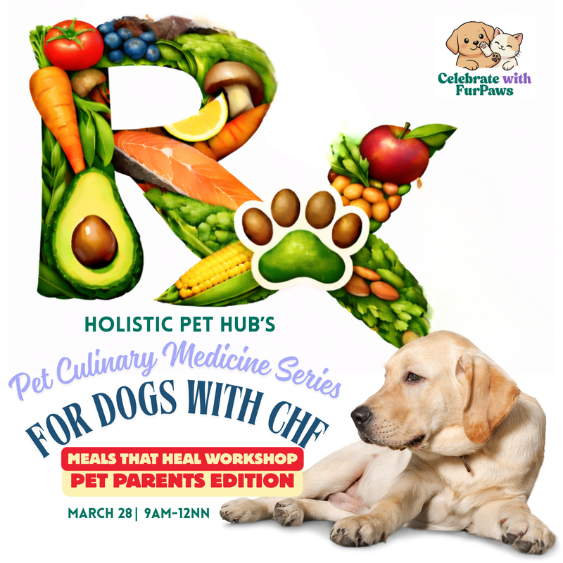 Pet Culinary Medicine For Dogs With CHF