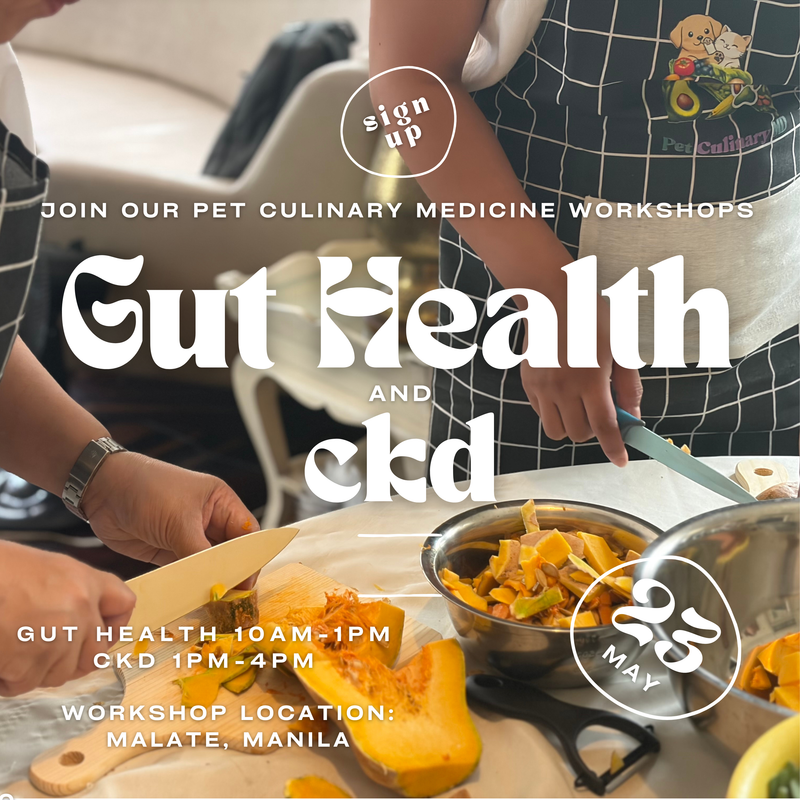 Pet Culinary Medicine: Supporting Gut Health in Dogs and Cats