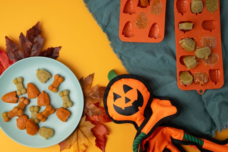 Pawfect Party Platters