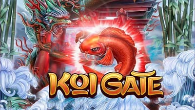 KNN77 Malaysia: Leading Online Casino with Full Cross-Platform Support