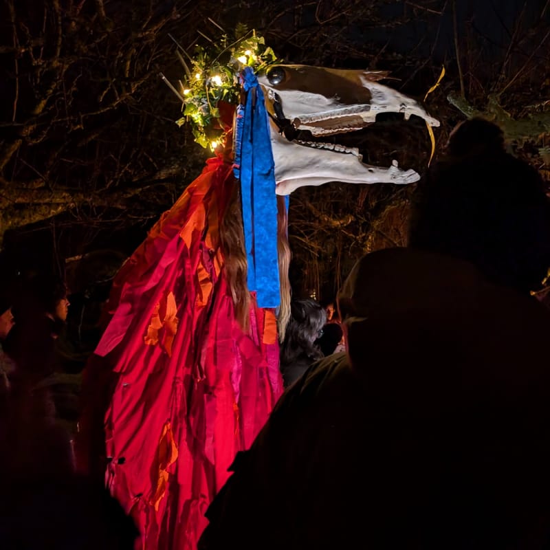The Gower Wassail