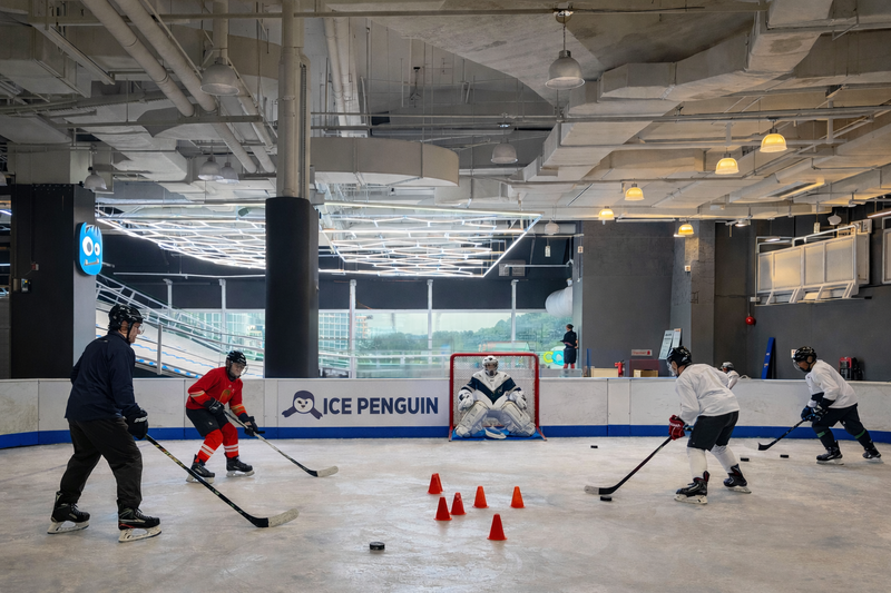 Ice Hockey Private Practice