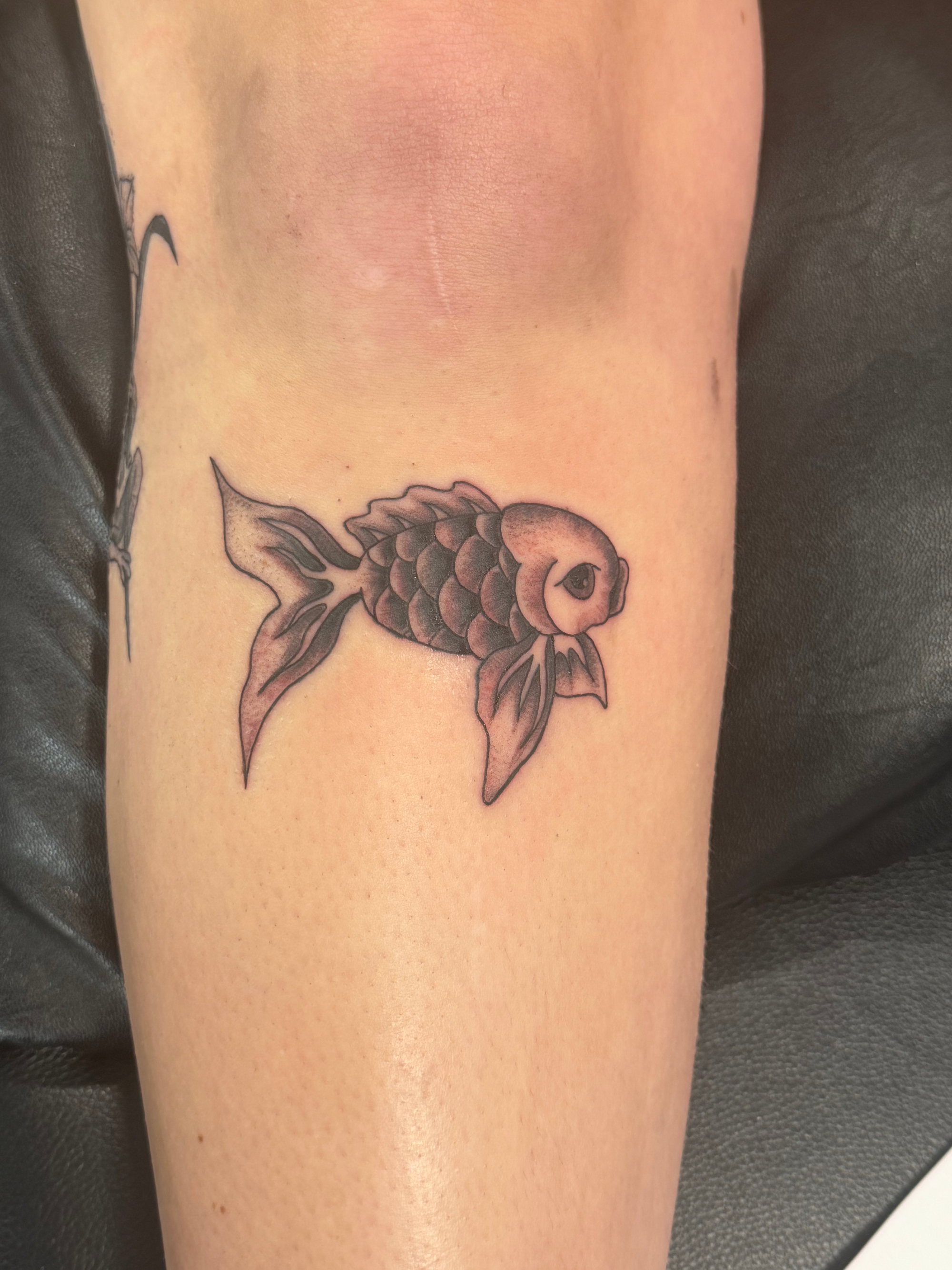 Shannon