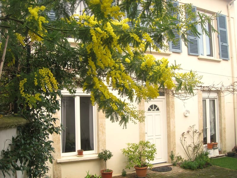 Le Clos des Mimosas