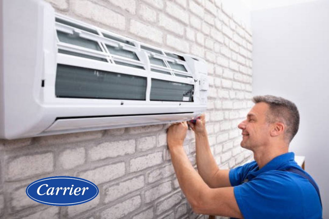 من هو وكيل شركة ميديا