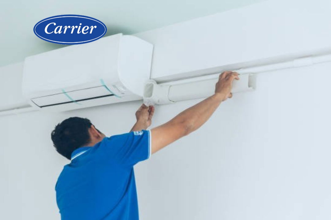 ضمان شركة ميديا