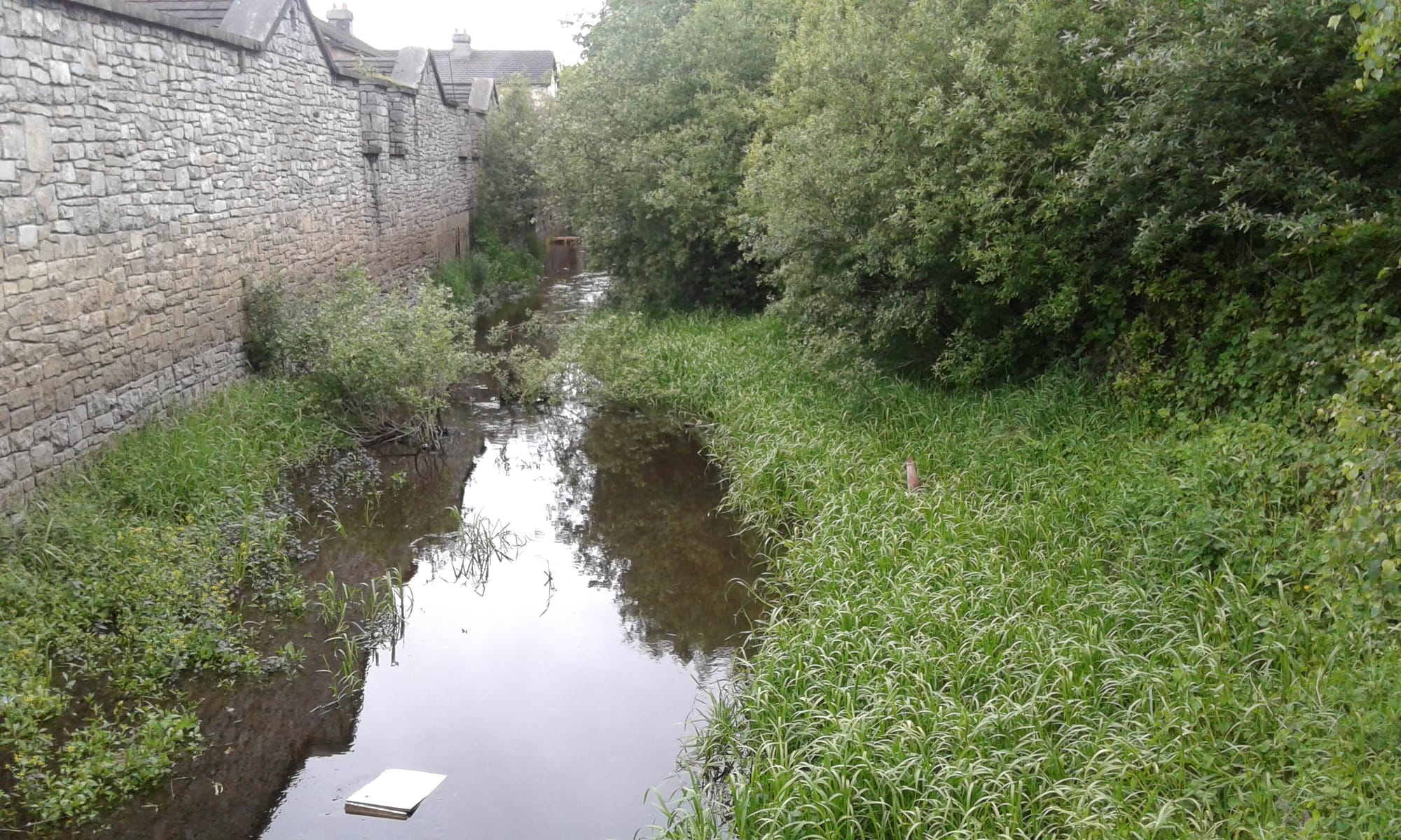 2017 06 05th River Shannon Athlone Canal_3