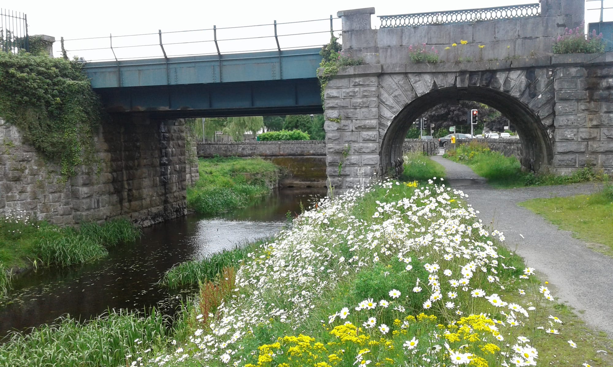 2017 06 05th River Shannon Athlone Canal_4
