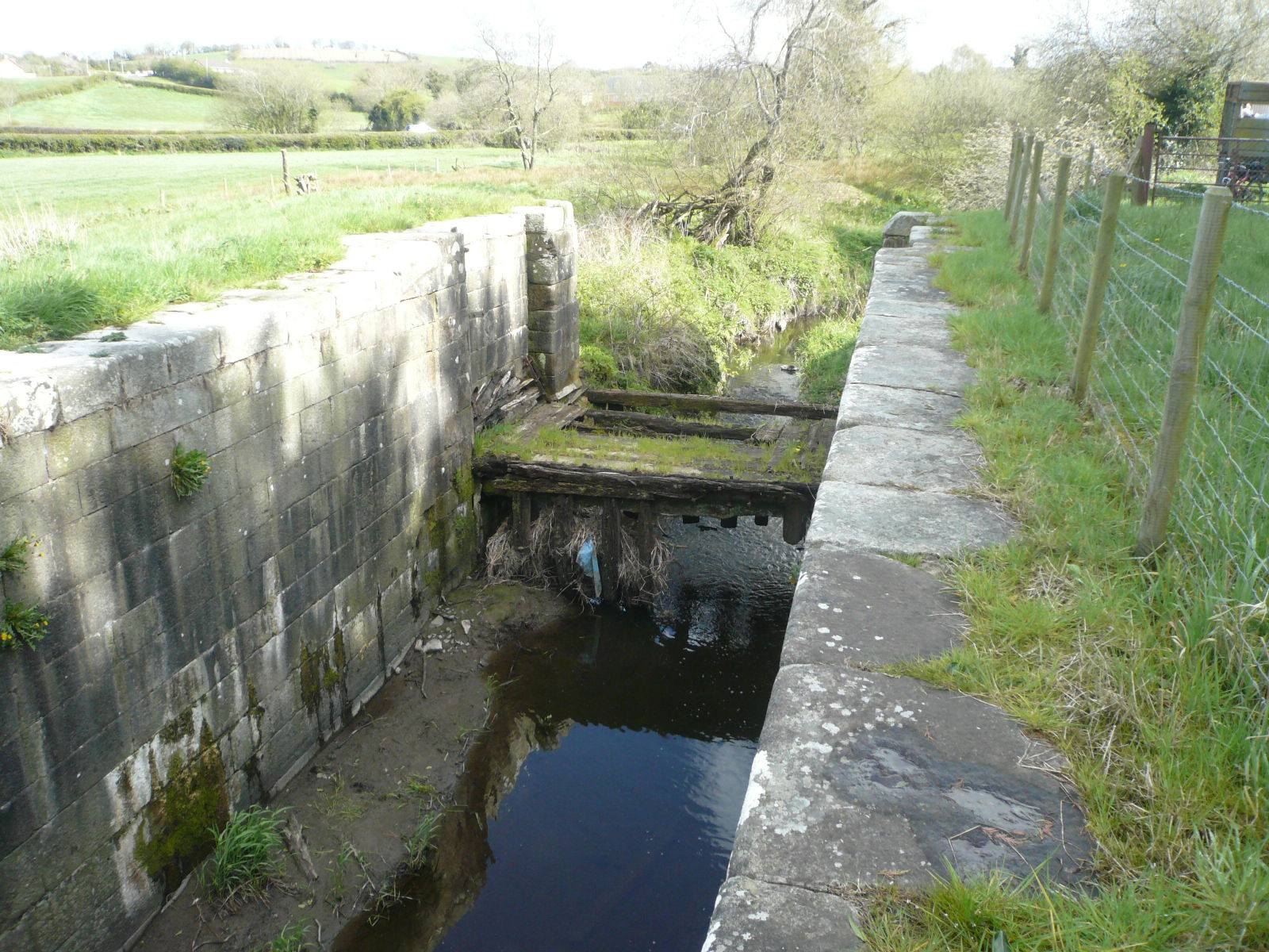2016 06 Newry Canal P1100636
