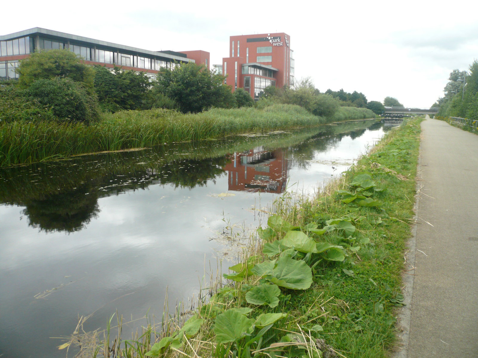 2016 06 Grand Canal Dublin Parkwest Guinness Filter Beds