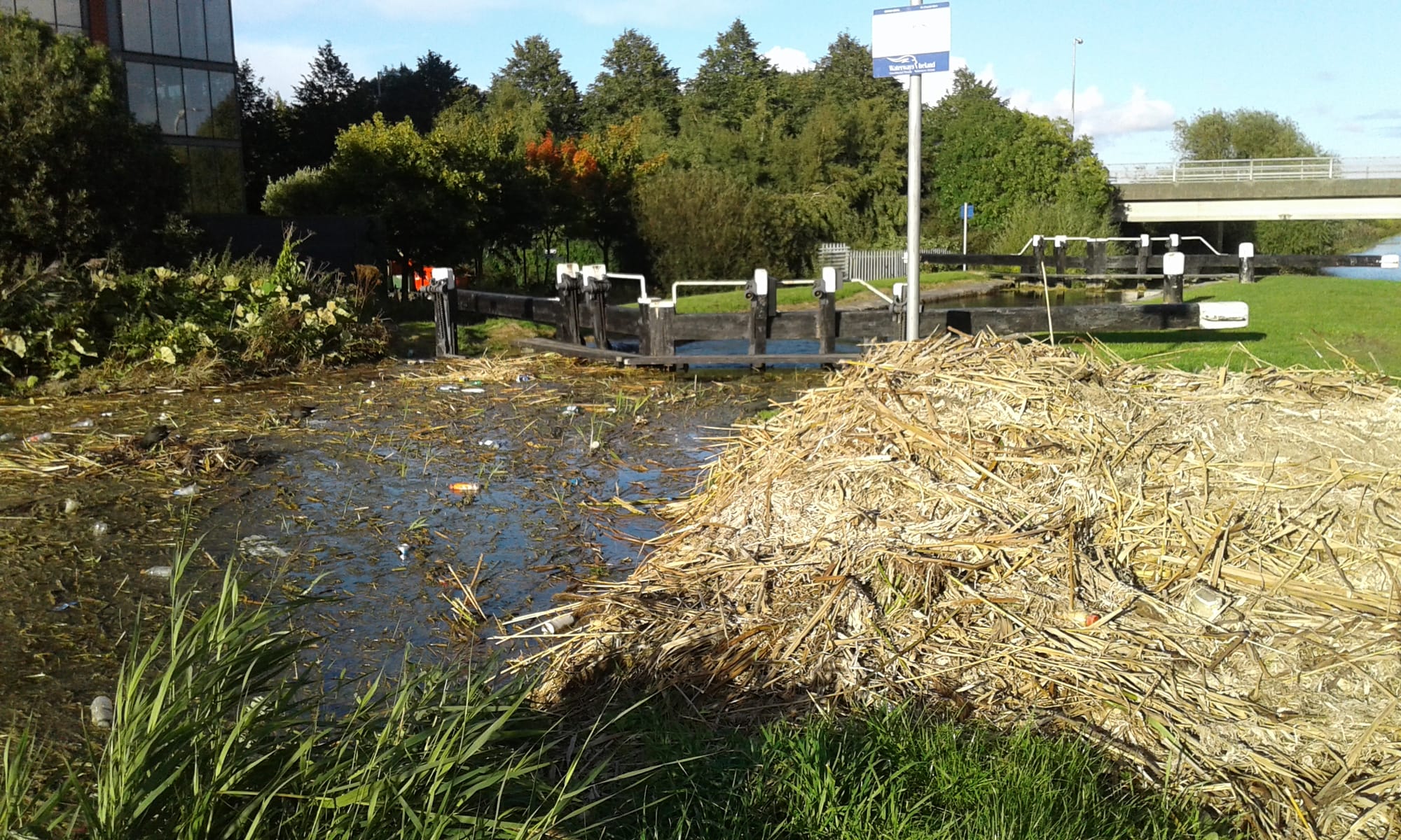 2017 09 13th Grand Canal Dublin Lock 8 Parkwest weedcutting