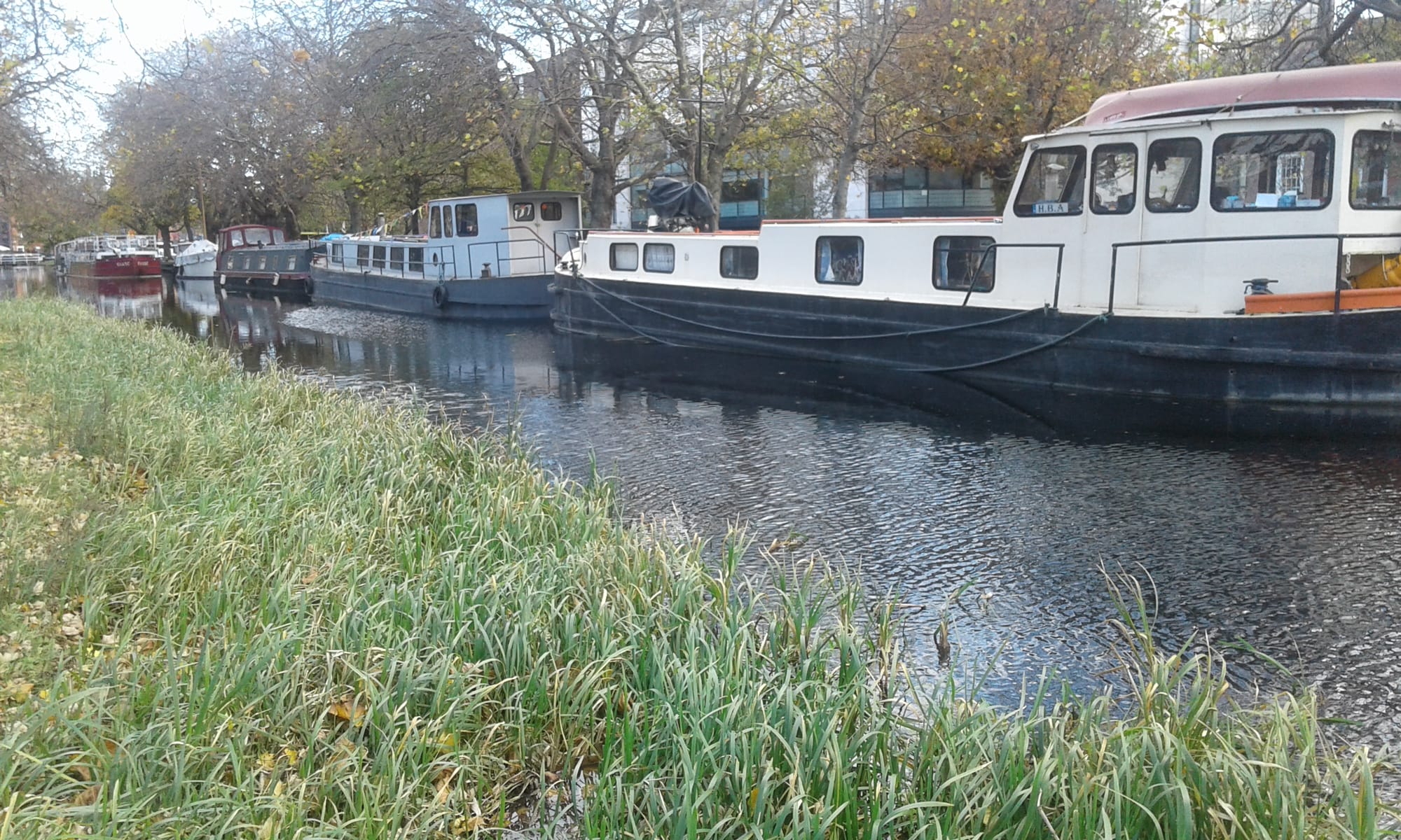 2017 11 Grand Canal Dublin rally fleet