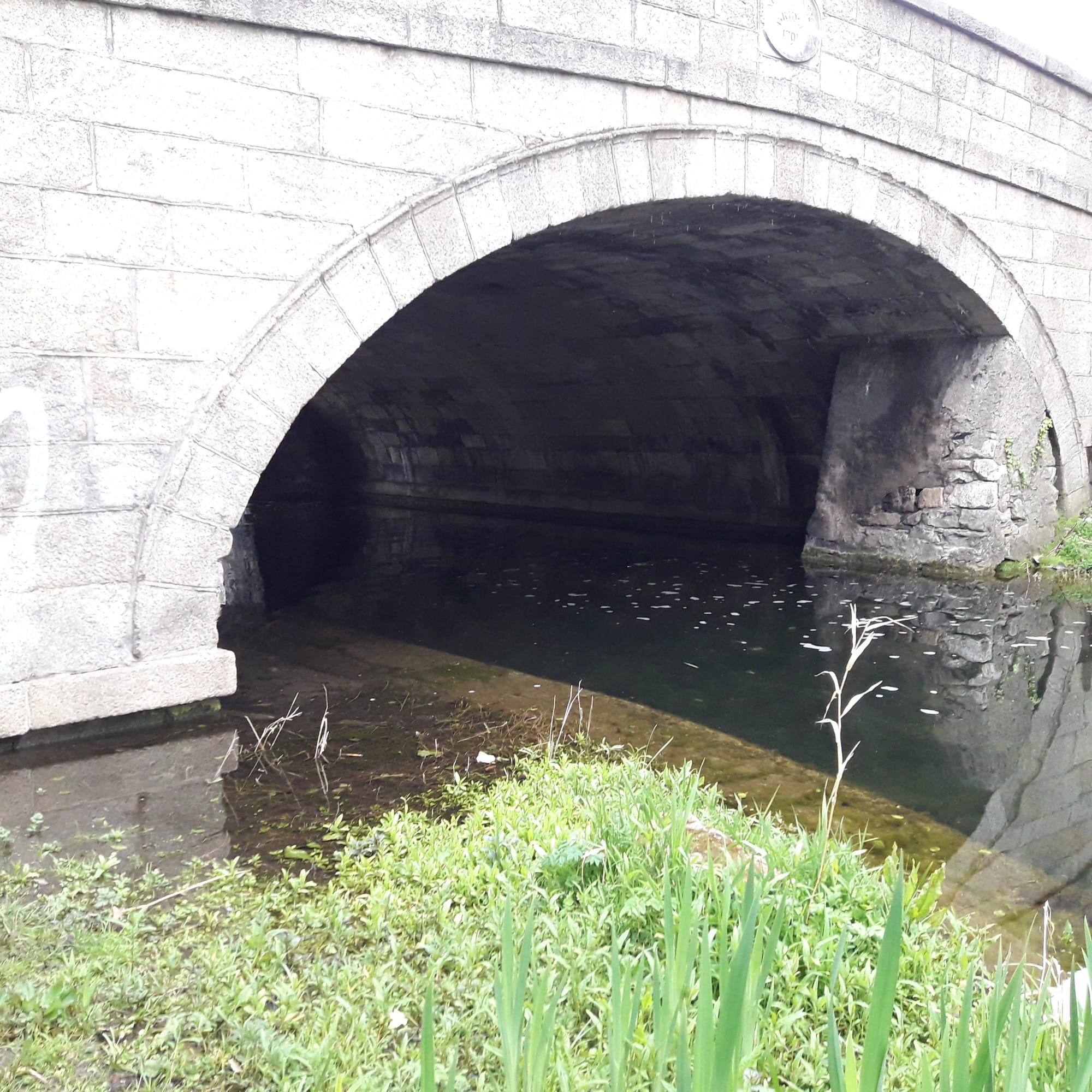2019 04 29th Grand Canal Dublin Baggot Street towpath gone