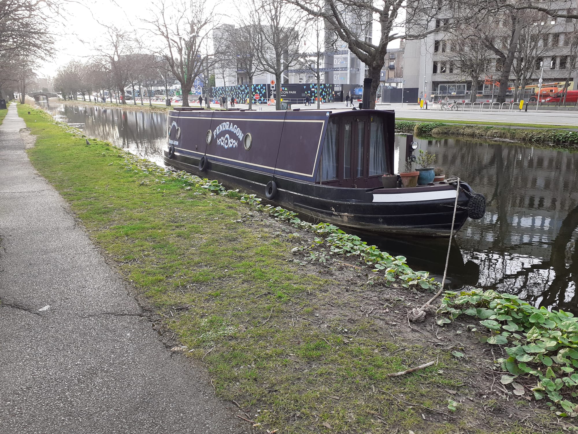 2020 03 19th Grand Canal Mespil Road Dublin lone visitor