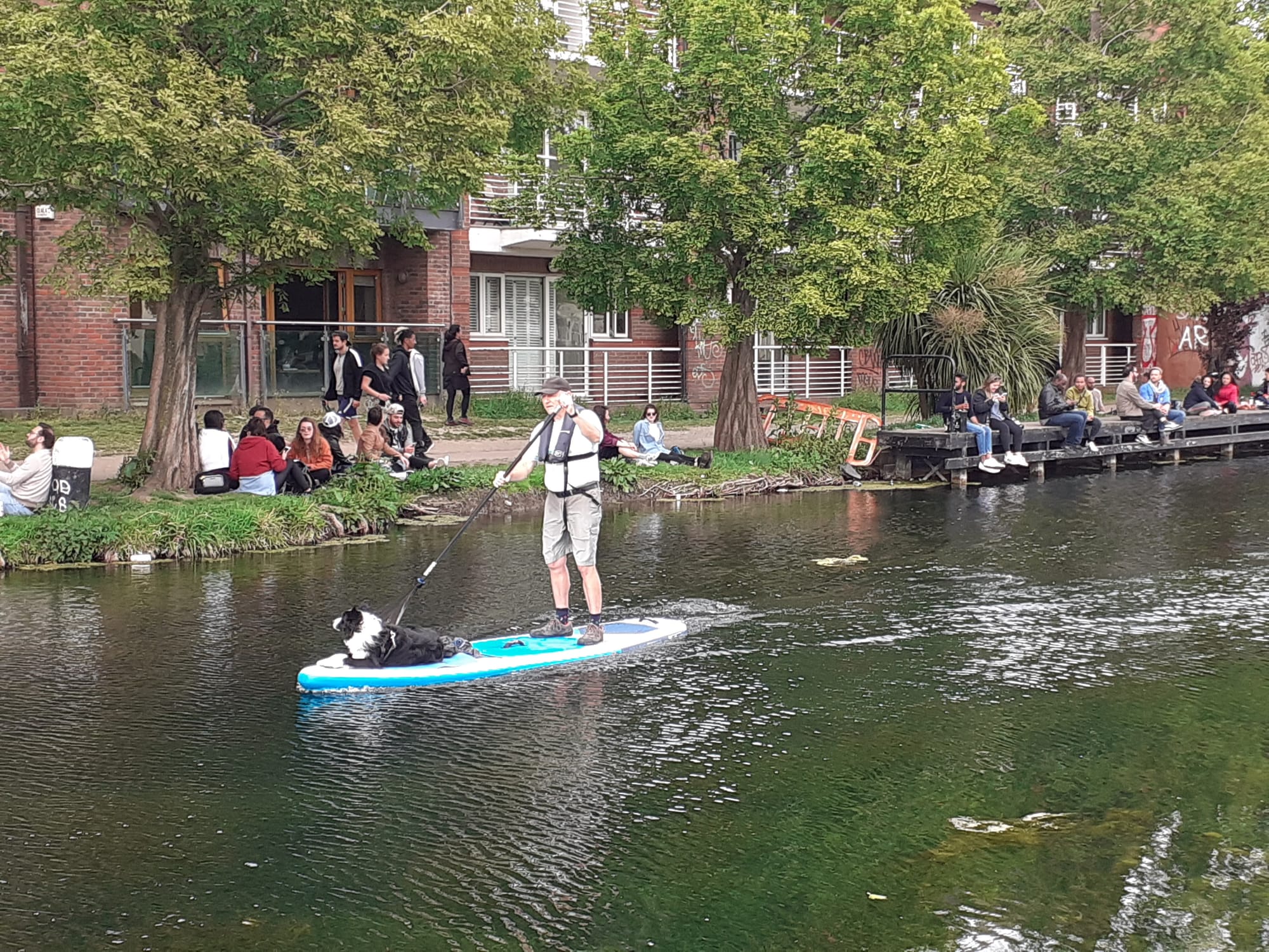 2020 05 01st Grand Canal Dublin paddleboarding dog